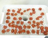 干し梅の作り方(食品乾燥機 ドラミニ)作り方2写真