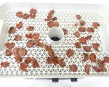 干し梅の作り方(食品乾燥機 ドラミニ)作り方3写真