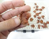 干し梅の作り方(食品乾燥機 ドラミニ)作り方4写真