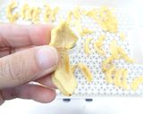 ドライアップルの作り方(食品乾燥機)作り方4写真