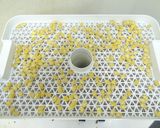 微粉砕機でかぼちゃの種の粉末化作り方1写真