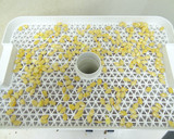 微粉砕機でかぼちゃの種の粉末化作り方1写真