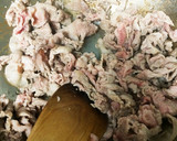 ナスと豚コマの大根おろし和え作り方4写真