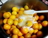 喉にも優しい！キンカンの甘露煮。作り方3写真