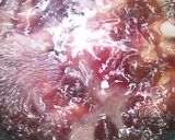 ナスと鶏モモの治部煮からお蕎麦作り方3写真