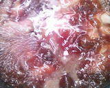 ナスと鶏モモの治部煮からお蕎麦作り方3写真