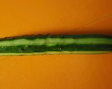 ☆簡単☆長芋と納豆の塩昆布サラダ作り方1写真