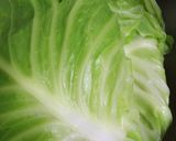 鍋味噌仕込みのロールキャベツ作り方2写真