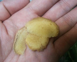 煮つけの定番♡カレイの煮つけ♡作り方1写真
