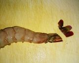 【和食】エビ天（えびの天ぷら）作り方8写真
