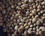 豆みそ*節分豆でご飯がススム作り方1写真