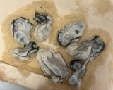 牡蠣の柚子釜せいろ蒸し作り方3写真