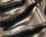 魚焼きグリルでイワシのパン粉焼き作り方1写真