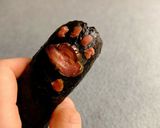 猫の手借りよう☆スティックおにぎり！作り方6写真