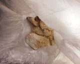 鶏胸肉で簡単ヘルシー♡3種のピカタ作り方4写真