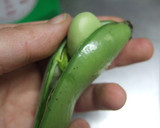 ホクホク☆そらまめとタコの炊き込みごはん作り方2写真