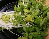 鶏肉むね肉のトマト鍋ホワイトセロリ入作り方1写真