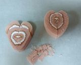 楽々バレンタイン♡チョコがけロールケーキ作り方7写真