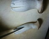 菌活！エリンギ香草パン粉焼き作り方2写真