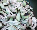 焼き鳥トマト煮作り方2写真