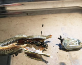昆布と煮干しでほっとくお出汁！作り方3写真