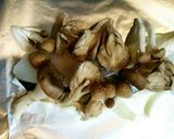 鱈と茸のバジルチーズホイル焼き作り方4写真