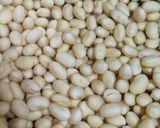 簡単！誰にでも失敗なしの手作り味噌作り方50写真