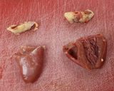 鉄分とタンパク質豊富な鶏ハツのオリオ焼き作り方1写真
