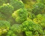 ブロッコリーのオイル蒸し作り方4写真