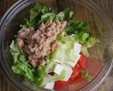 ☆簡単☆豆腐とトマトのツナサラダ作り方3写真