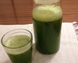 おいしい緑のジュース作り方5写真