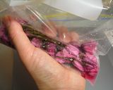 簡単すぎ!桜の花の塩漬け作り方3写真