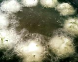揚げご飯のキムチクッパ作り方13写真