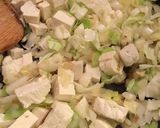 お豆腐とキャベ玉の和風あんかけそぼろ煮作り方8写真