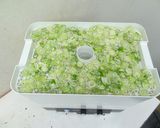 干し野菜（ネギ）｜食品乾燥機ドラミニ作り方2写真