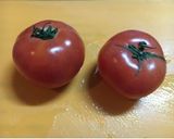 トマトとツナの簡単グラタン作り方1写真