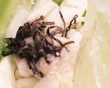 白菜でいっぺんに2品！サラダと浅漬け♪作り方3写真