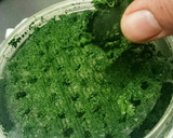 冬季限定ちぢみほうれん草をきめ細かく作り方9写真