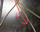 香り立つ大人のアップルパイ★生焼け無し！作り方18写真