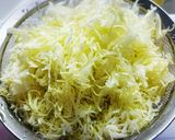 パリパリキャベツサラダ☆キャベツ大量消費作り方1写真