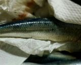 イワシのコンフィ☆小さいストウブde作り方2写真