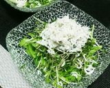 水菜&しらすのさっぱりサラダ☆ごま油風味作り方2写真