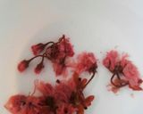 桜咲く＊春の和スイーツ手巻きご飯作り方1写真