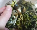 食べなきゃ損☆超美味なカメノテの塩茹で★作り方2写真