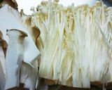 豆腐ときのこのなめ茸鍋✌作り方2写真