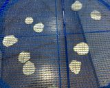 干し菊芋作り方1写真