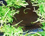 水菜せんべい作り方2写真