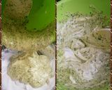 ふわふわ！ほうれん草のスポンジ作り方5写真