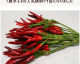 鷹の爪の冷凍保存作り方8写真