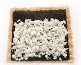 縁起よし！百年ちくわで恵方巻作り方1写真